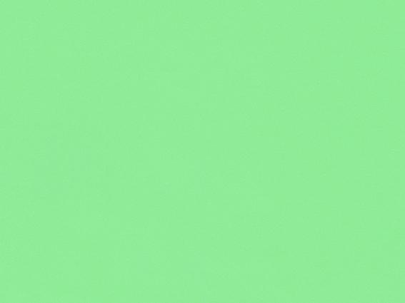 17055X70-FSC